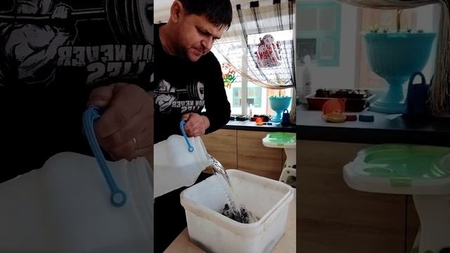 Солю сахалинского зубаря перед сушкой