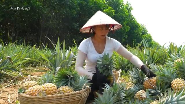 Use 3-wheeled Vehicle Harvesting Many Pineapples Goes To Countryside Market Sell | Free Bushcraft