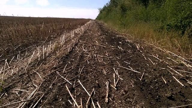 Новоникольский