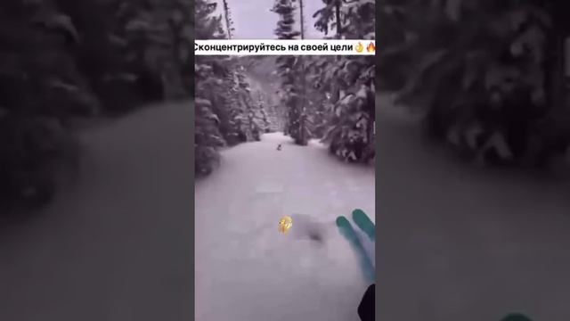 Концентрация