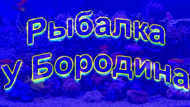 Рыбалка у Бородина 15 03 2019