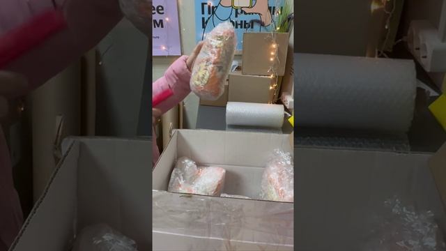 -5054591830991901510