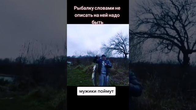 Те чувства которые словами не описать.