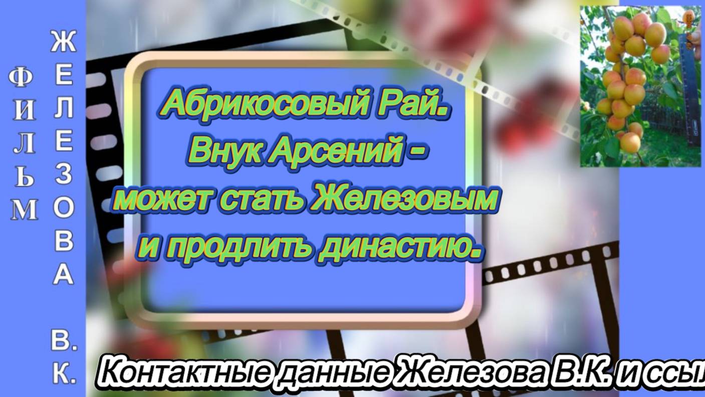 Абрикосовый Рай. Внук Арсений - может стать Железовым и продлить династию.