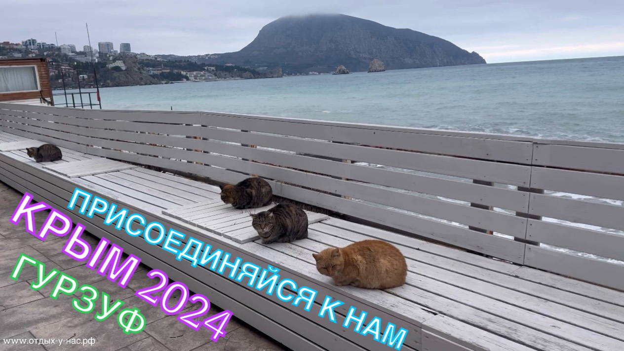 КРЫМ 2024 | ОБСТАНОВКА В ГУРЗУФЕ | 28 декабря❤️🌊⛰🌴🏖🐬☀️