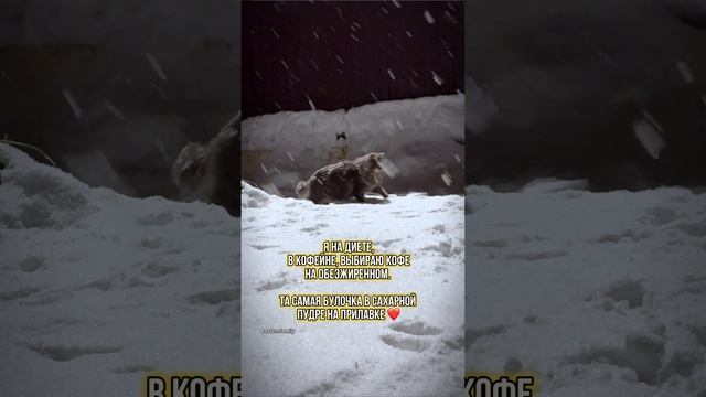 Булочка в сахаре