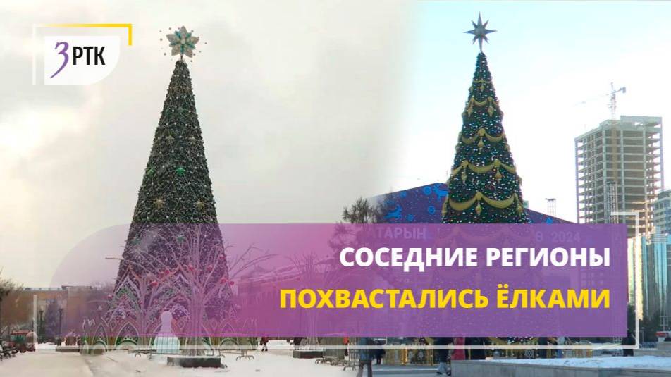 Соседние регионы похвастались елками