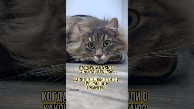Мечтаю о богатстве!