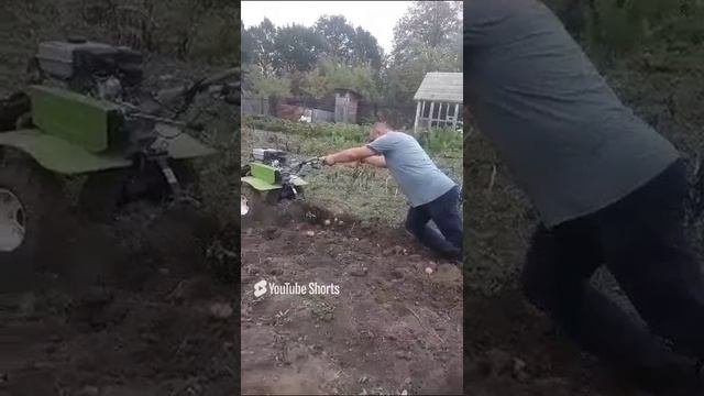 1000003343.mp4
