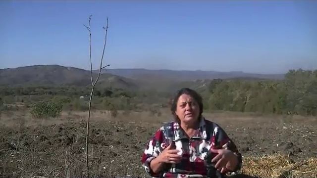 Мои земельно - скотские истории #2.  Хорошие новости для вас .