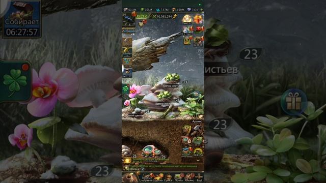 29.12.24 Ant Legion