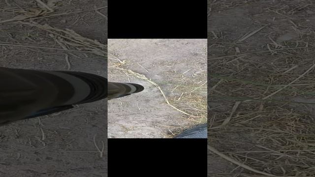 6563.mp4