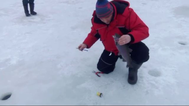 Светлые Горы Форель2 29.12.2024г.