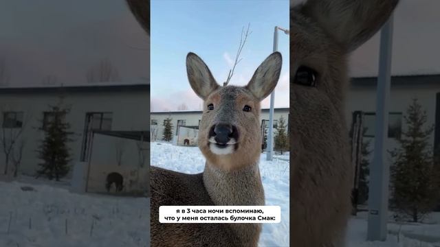 1000102884.mp4