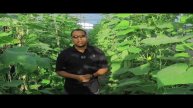 Warka Universal TV 19 09 2022