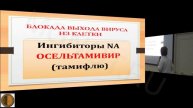 16 11 15 ВШТ Видеолекция 1
