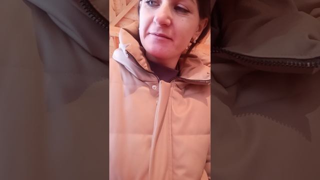фазенда