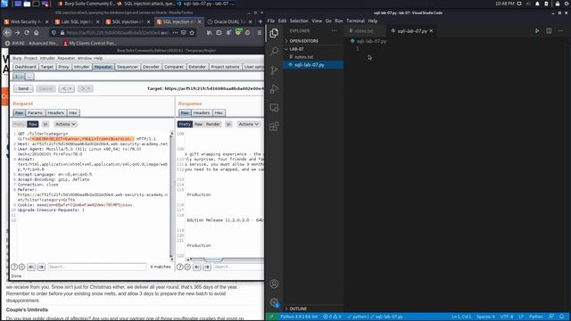 08. Lab 7 - SQL injection attack, querying the database type and version on Oracle