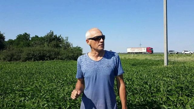 Соя у Головатого Г.Ст.