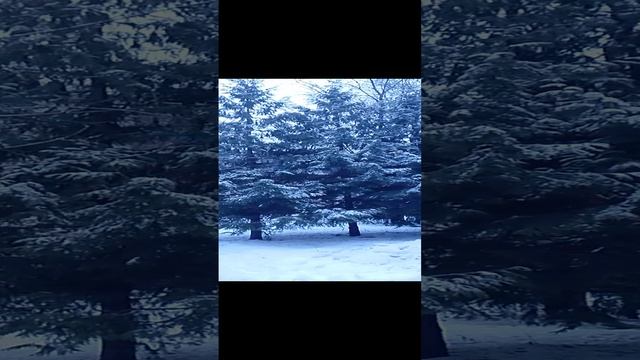 городской пейзажь химки