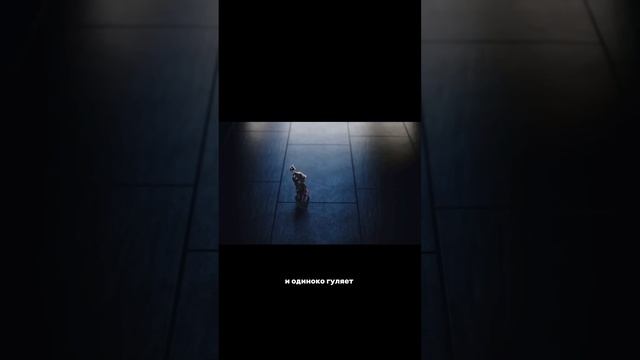 Самая трогательная рождественская реклама от супермаркета #маркетинг #olyalolyaa