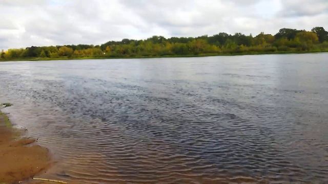 Стихи о жизни / Мое творчество