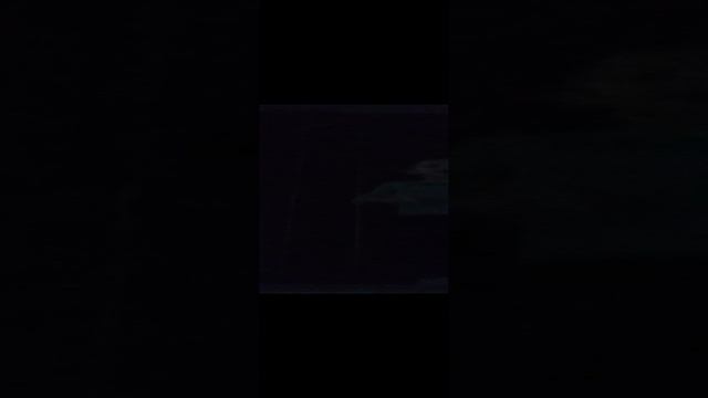 1000005213.mp4