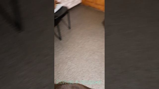 Стаф. 3.5 мес Девочка