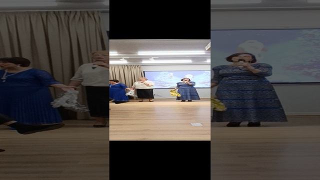 VID_20241227_162812