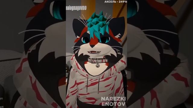 Новость про фурри медведя #furry #мем #фурри #квд