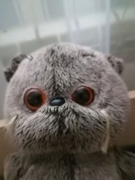 трансляция номер 4. басиков, басиков, то есть извините.