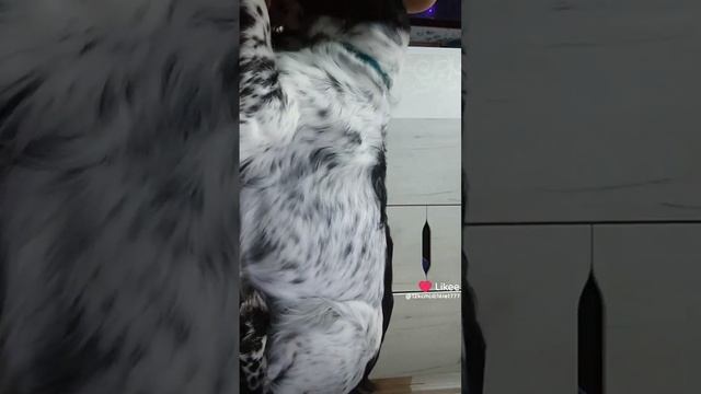 1000006611.mp4