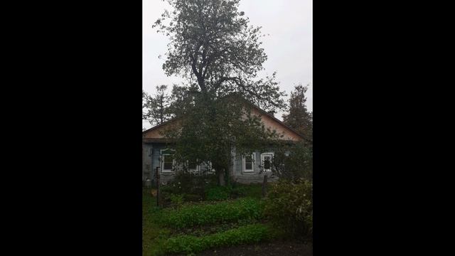 С ГОДОМ СЕМЬИ!!!