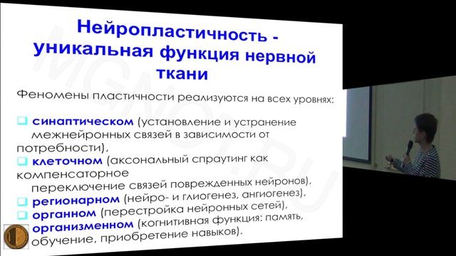 28 03 16 ВШТ Видеолекция 2