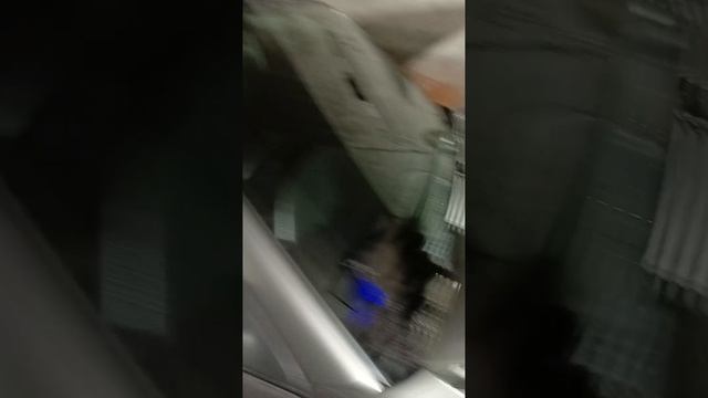 1001278893.mp4
