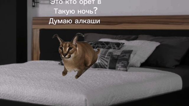 Тизер к 2 серии
  Выживанию Шлёпы 
среди
 Монстров