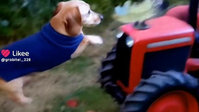 1000015526.mp4
