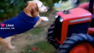 1000015526.mp4