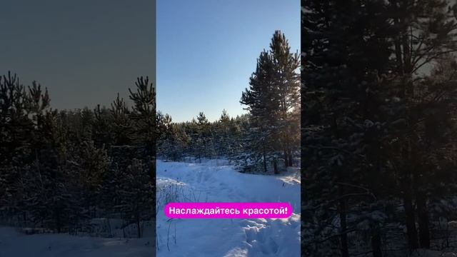 Деньги на красоте!