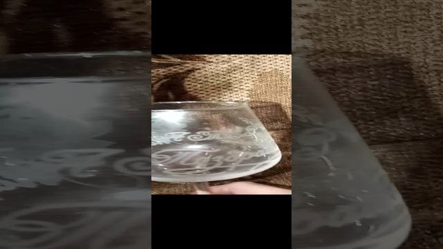 1000003747.mp4