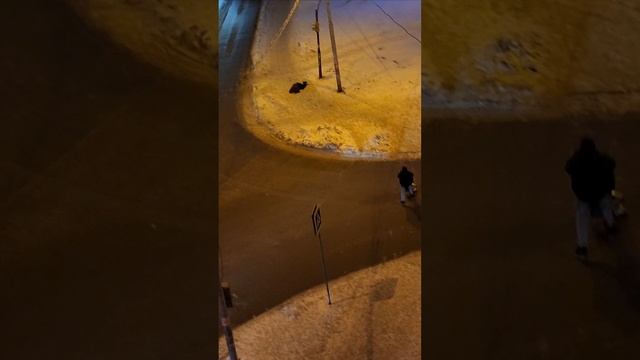 1000032367.mp4уралмаш
