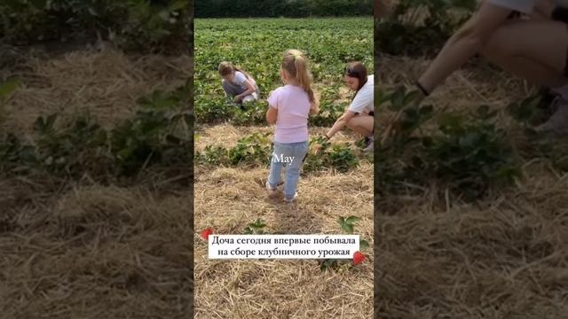 Забираю в новый год самые теплые воспоминания из 2024-го ❤️