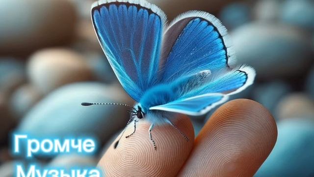 бабочка