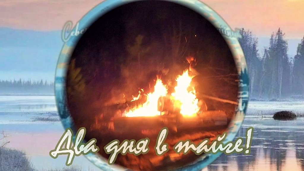 Два дня в тайге и одна ночь/ охота в октябре на боровую дичь