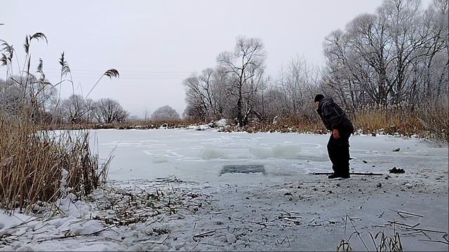 Моржевание, Закаливание