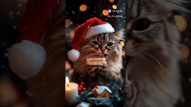 The New Year is coming 🌲