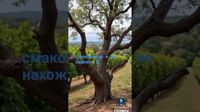 какая участь у бесплодных