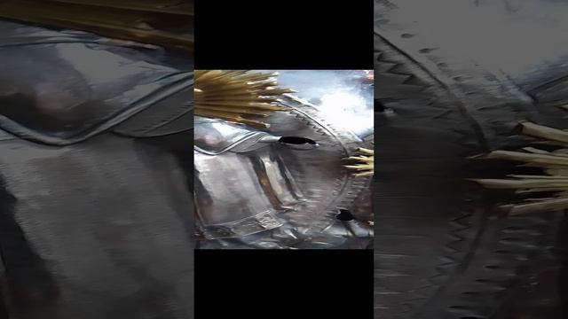 VID_20241229_133758