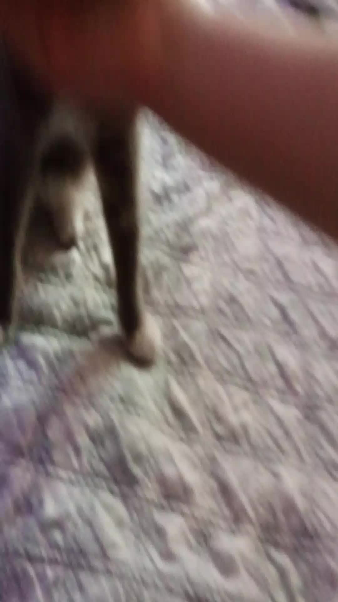катрин