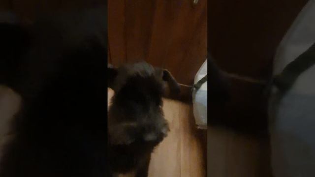 1000053082.mp4